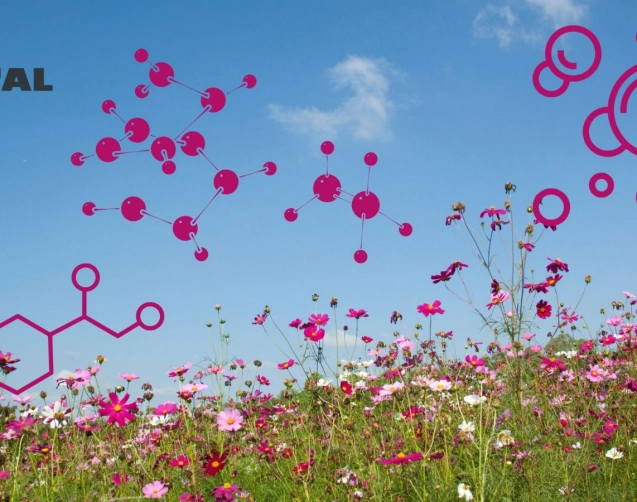 Aromatasehemmer_Logo Vitalkollagen