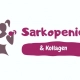 Sarkopenie